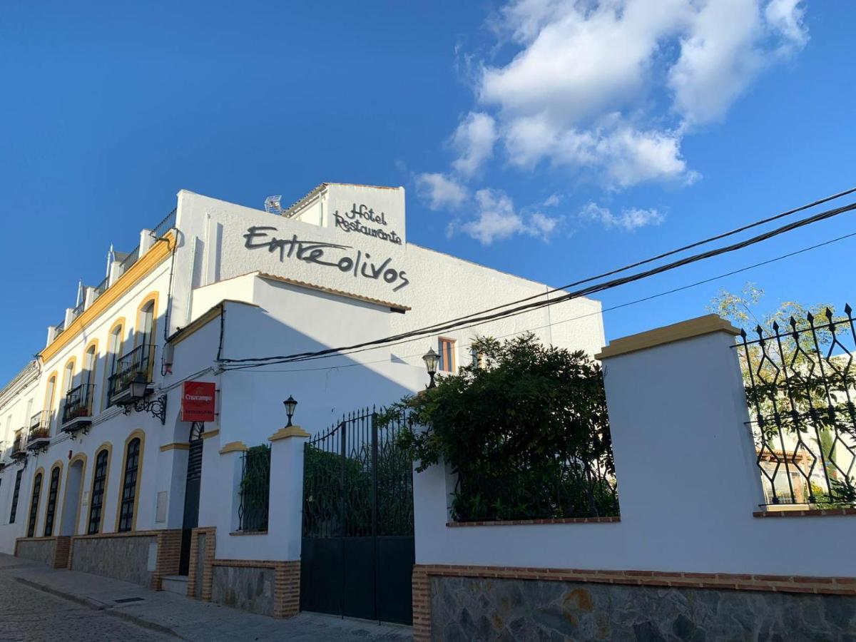 Hotel Entreolivos El Pedroso Kültér fotó