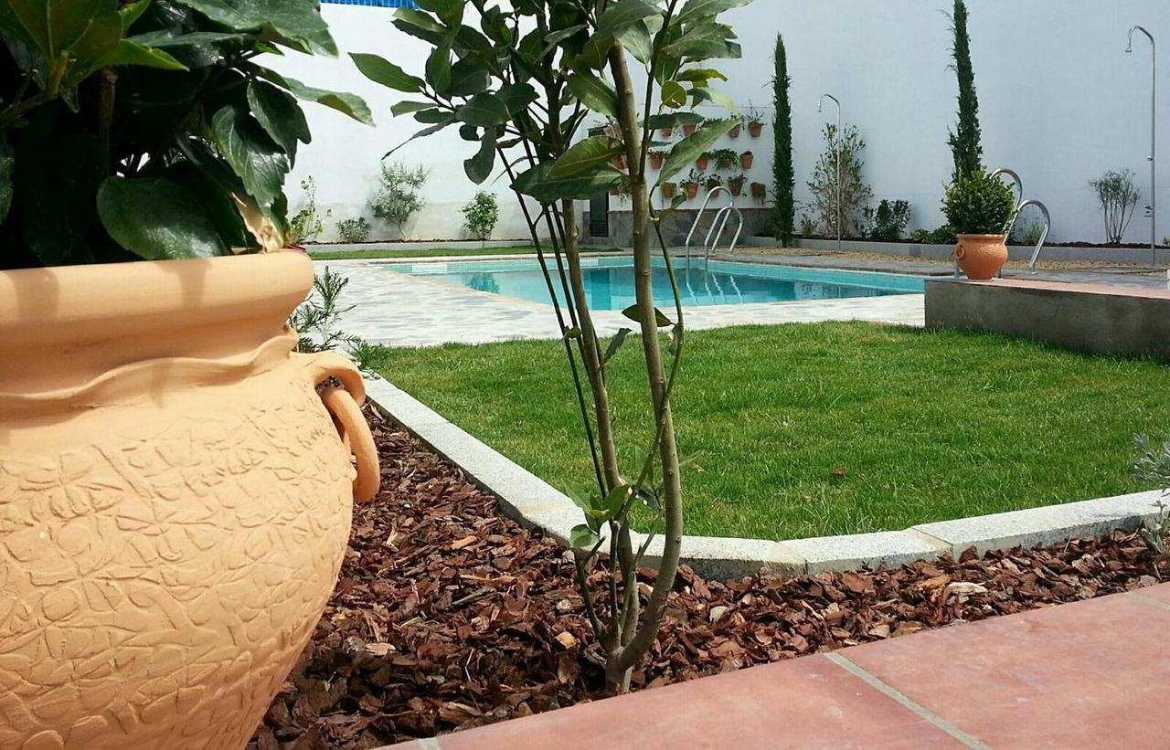 Hotel Entreolivos El Pedroso Kültér fotó