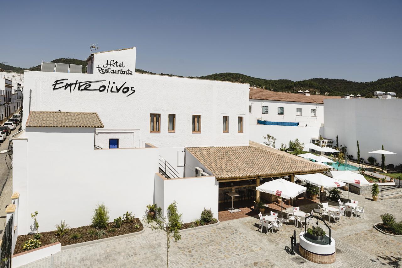 Hotel Entreolivos El Pedroso Kültér fotó
