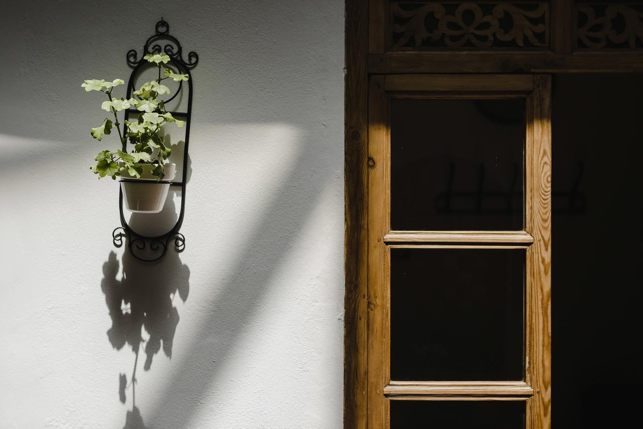 Hotel Entreolivos El Pedroso Kültér fotó