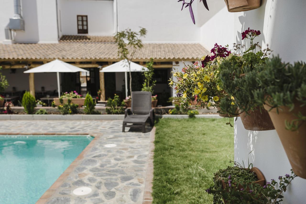 Hotel Entreolivos El Pedroso Kültér fotó