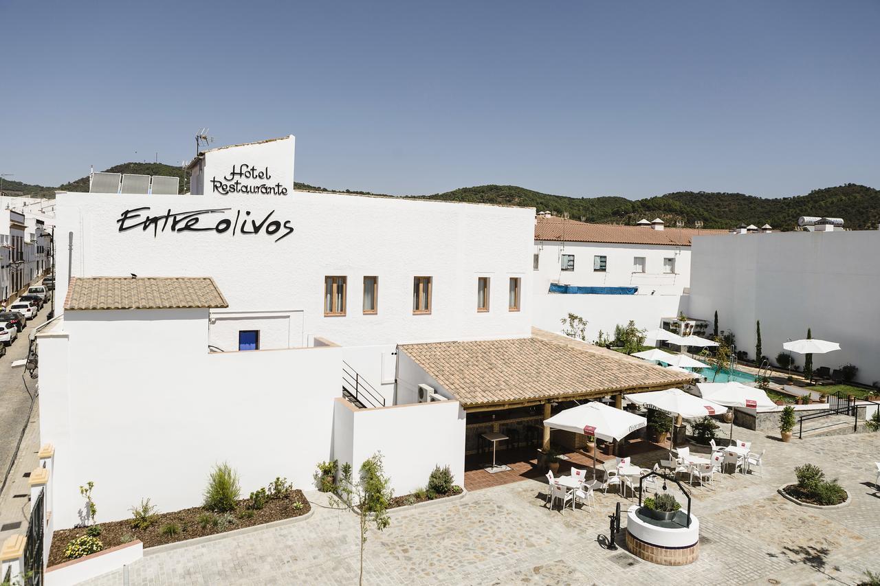 Hotel Entreolivos El Pedroso Kültér fotó